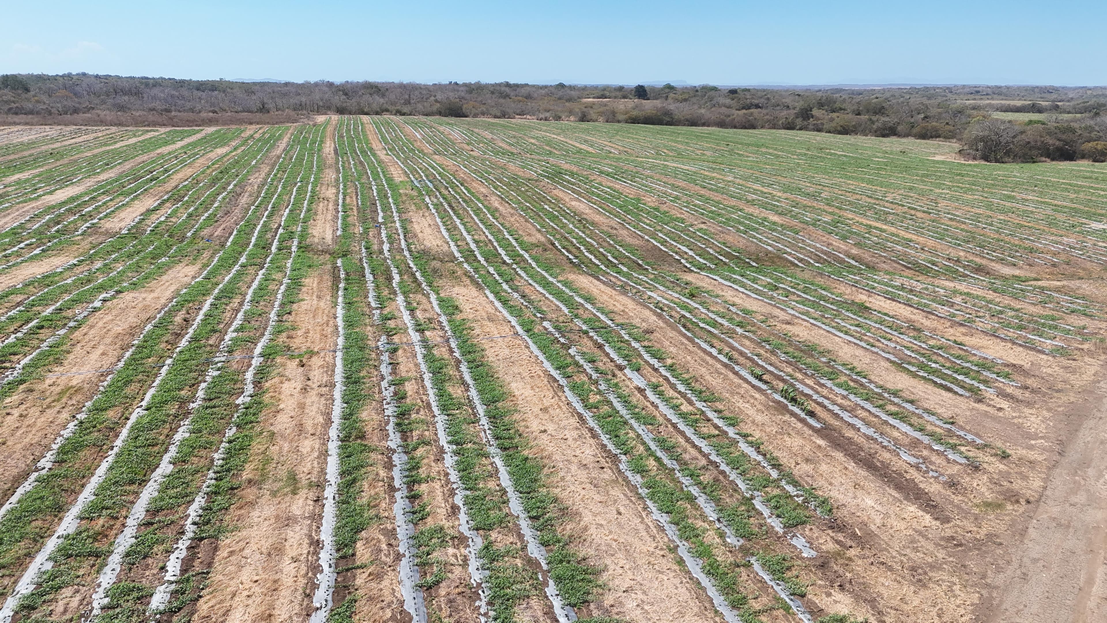Conectar capital con tierra de alto potencial