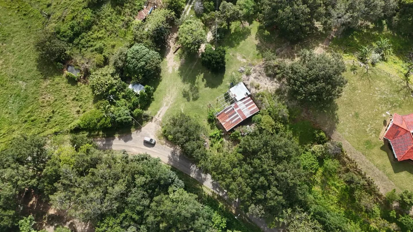 Guayabo, Bagaces Cattle and Forestry Farm